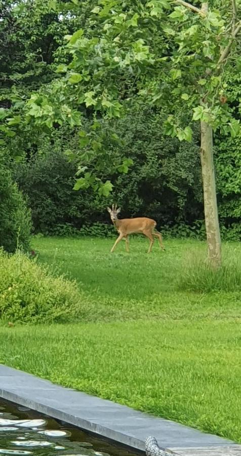 De Appelhoeve Terschuur Exteriör bild