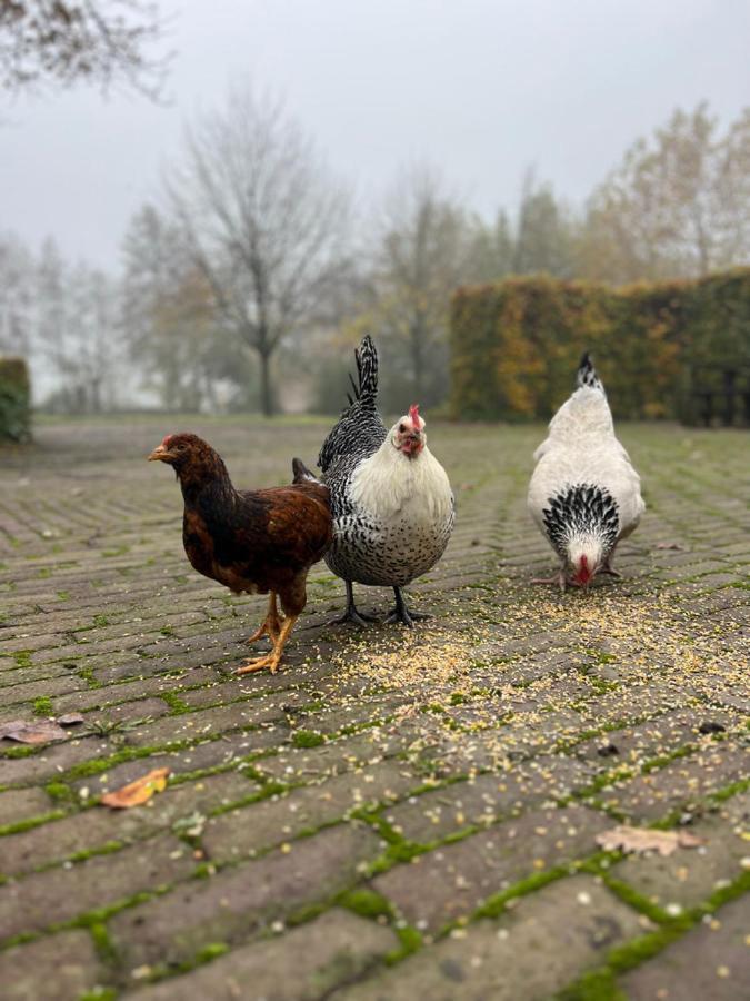 De Appelhoeve Terschuur Exteriör bild